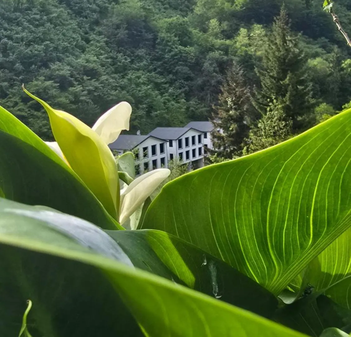 Hotel Muradland منتجع الوادي الأخضر Trabzon